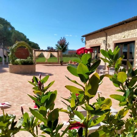 Il Pianaccio Villa Spoleto Exterior foto